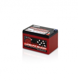 Acumulator 12V/16.5Ah  ZENITH GEL+SILICON